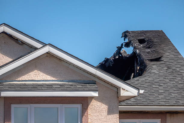 Top rated local Fire Damage Removal specialists in Preston, WA